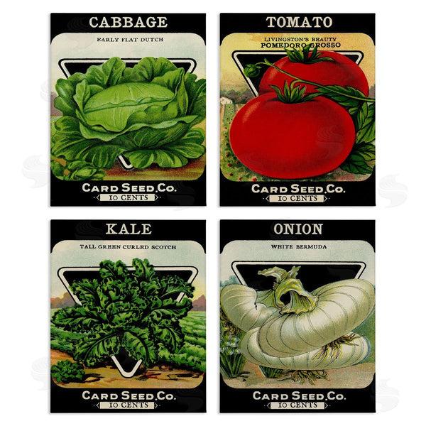stupell industries Stupell Studio | Vintage Garden Cabbage Wall Art