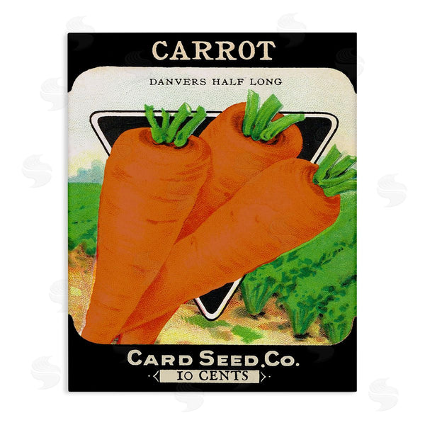 stupell industries Stupell Studio | Vintage Garden Carrots