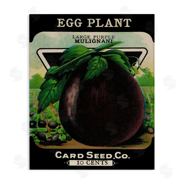 stupell industries Stupell Studio | Vintage Garden Eggplant
