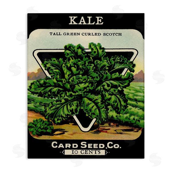 stupell industries Stupell Studio | Vintage Garden Kale