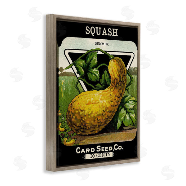 Stupell Industries Stupell Studio | Vintage Garden Squash