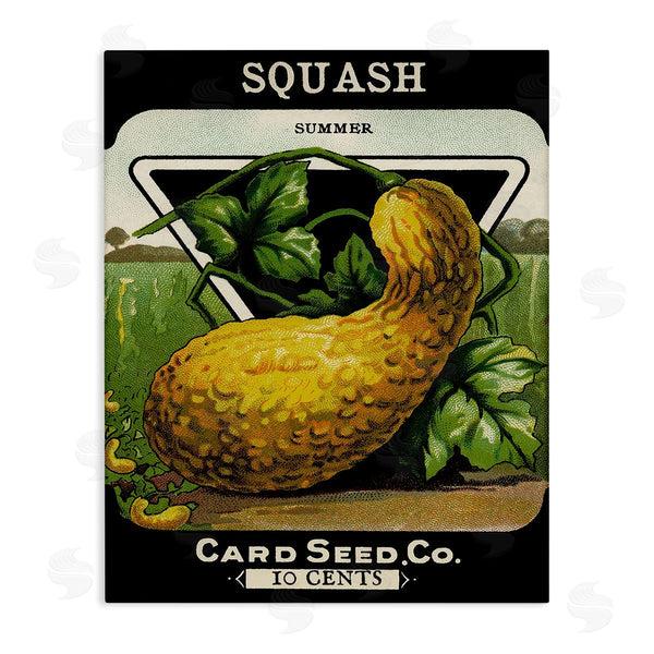 stupell industries Stupell Studio | Vintage Garden Squash