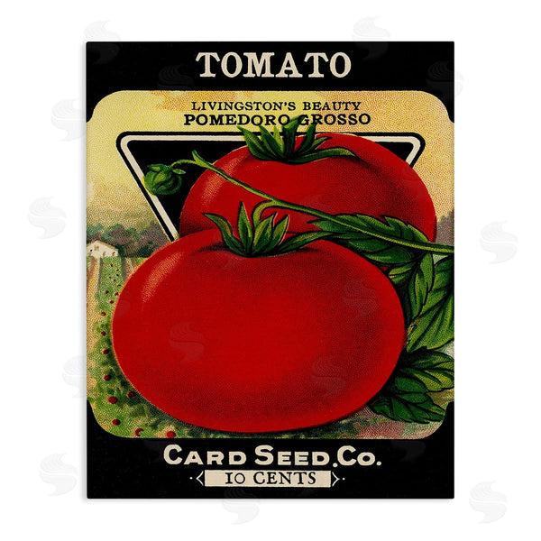 stupell industries Stupell Studio | Vintage Garden Tomato