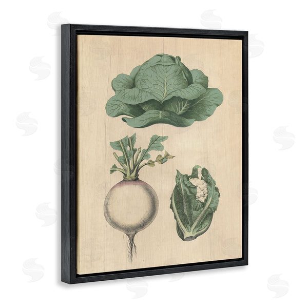 Stupell Industries Stupell Studio | Vintage Garden Vegetables
