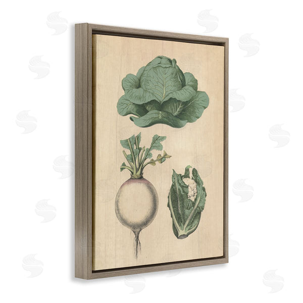 Stupell Industries Stupell Studio | Vintage Garden Vegetables