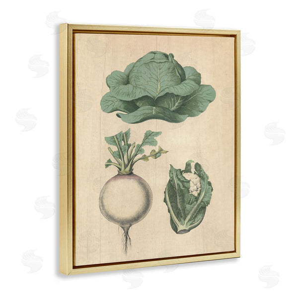 Stupell Industries Stupell Studio | Vintage Garden Vegetables