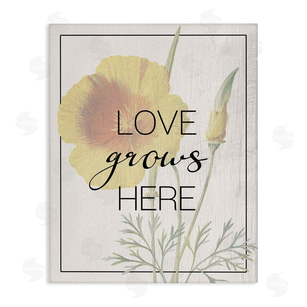 stupell industries Stupell Studio | Vintage Love Grows Here