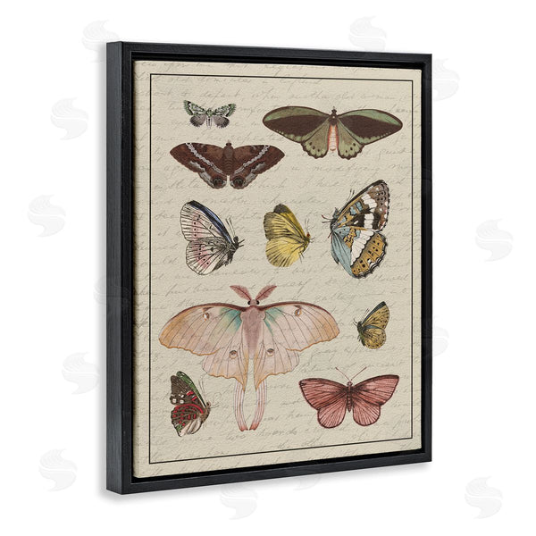 Stupell Industries Stupell Studio | Vintage Moth And Butterfly Study Wall Art