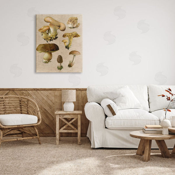 Stupell Industries Stupell Studio | Vintage Mushroom Drawings Wall Art