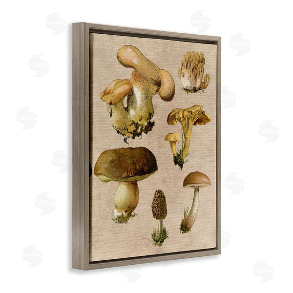 Stupell Industries Stupell Studio | Vintage Mushroom Drawings Wall Art