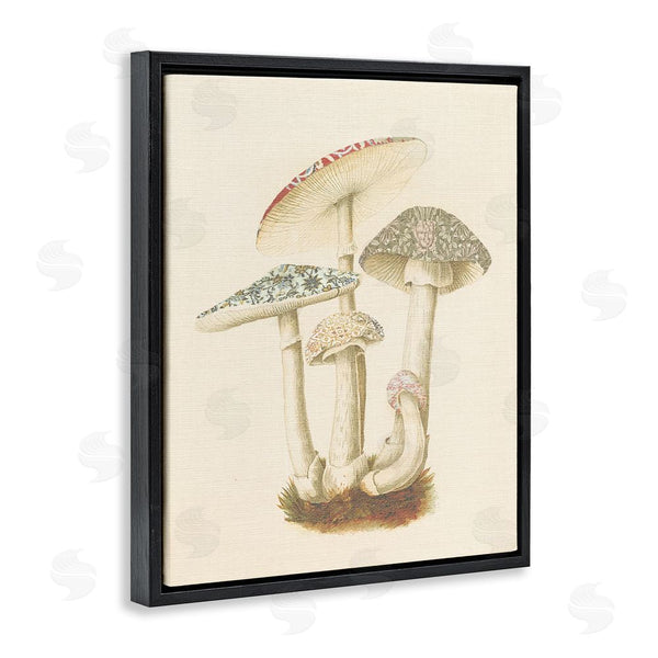 Stupell Industries Stupell Studio | Vintage Mushroom Study Wall Art
