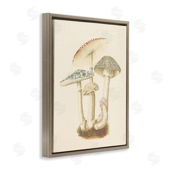 Stupell Industries Stupell Studio | Vintage Mushroom Study Wall Art