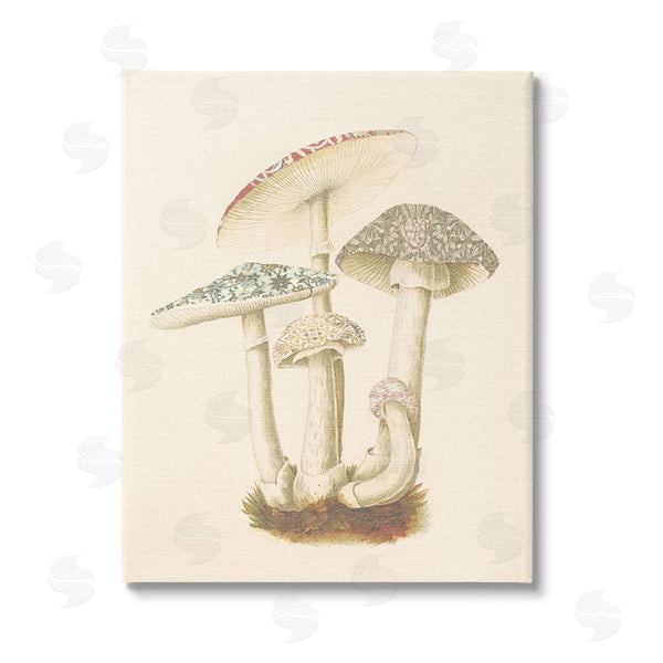 stupell industries Stupell Studio | Vintage Mushroom Study Wall Art