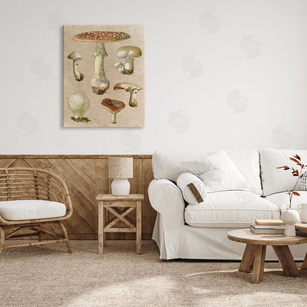 Stupell Industries Stupell Studio | Vintage Neutral Mushrooms Wall Art