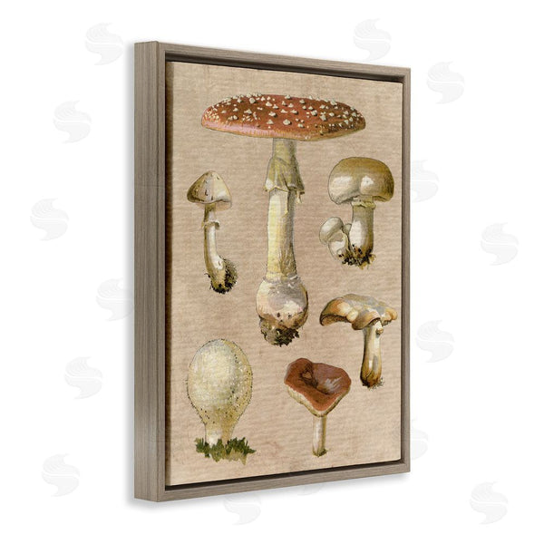 Stupell Industries Stupell Studio | Vintage Neutral Mushrooms Wall Art