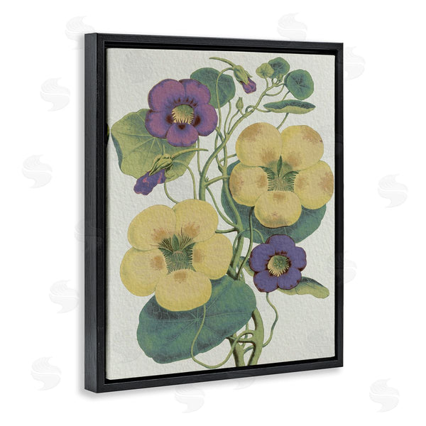 Stupell Industries Stupell Studio | Vintage Pansies Purple Yellow Petals Garden Study