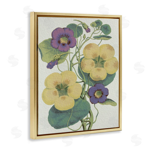Stupell Industries Stupell Studio | Vintage Pansies Purple Yellow Petals Garden Study