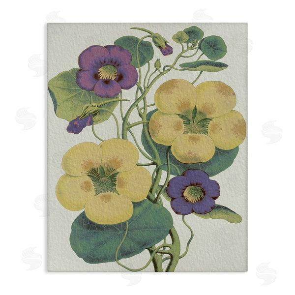 stupell industries Stupell Studio | Vintage Pansies Purple Yellow Petals Garden Study