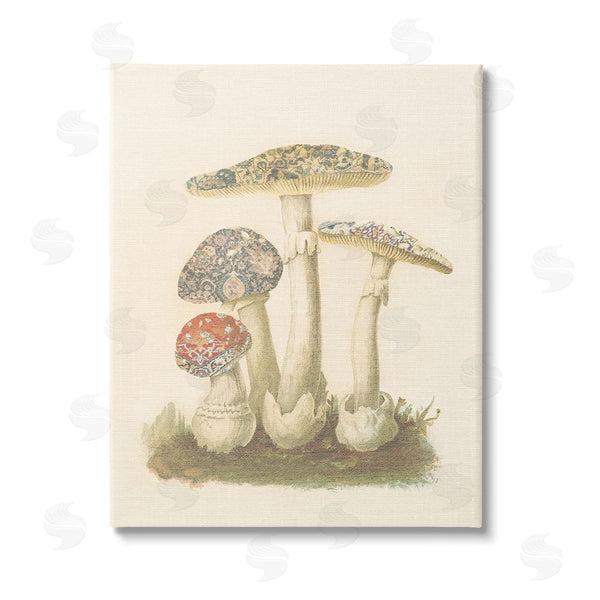 stupell industries Stupell Studio | Vintage Patterned Mushrooms Wall Art