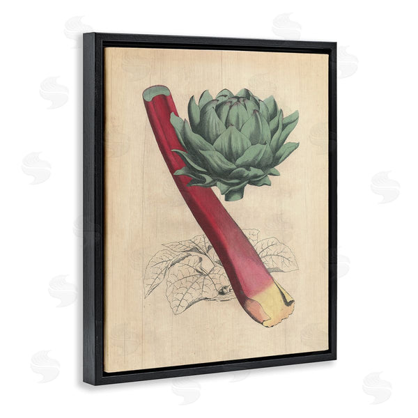 Stupell Industries Stupell Studio | Vintage Vegetable Studies