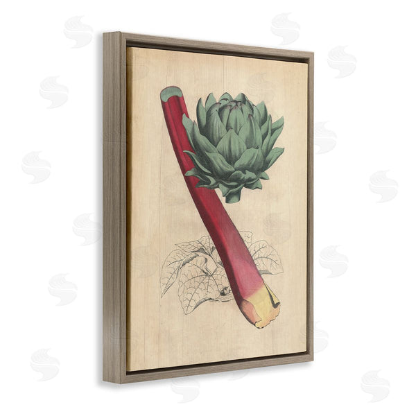 Stupell Industries Stupell Studio | Vintage Vegetable Studies