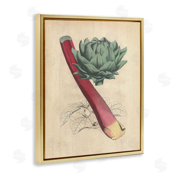 Stupell Industries Stupell Studio | Vintage Vegetable Studies