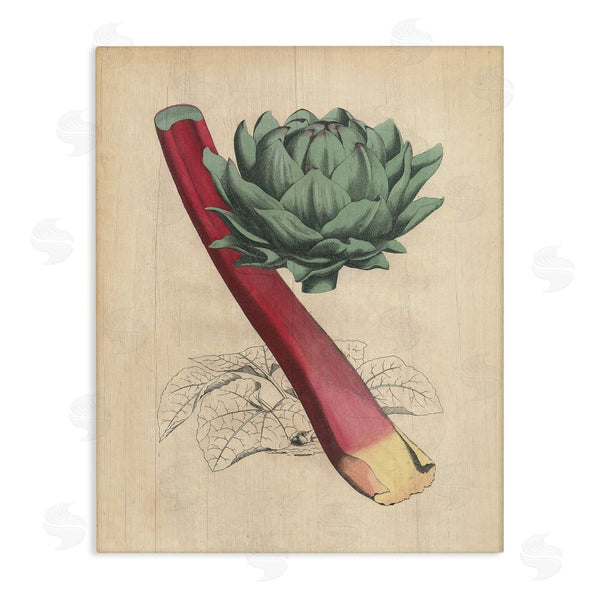 stupell industries Stupell Studio | Vintage Vegetable Studies