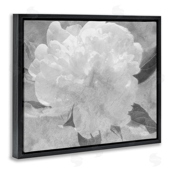 Stupell Industries Stupell Studio | White Flower Blossom Monochrome Wall Art