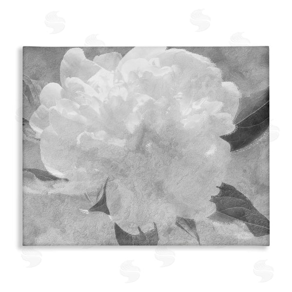 stupell industries Stupell Studio | White Flower Blossom Monochrome Wall Art