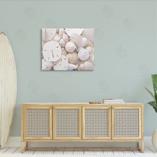 Stupell Industries Stupell Studio | White Mixed Sand Dollar Shells Wall Art