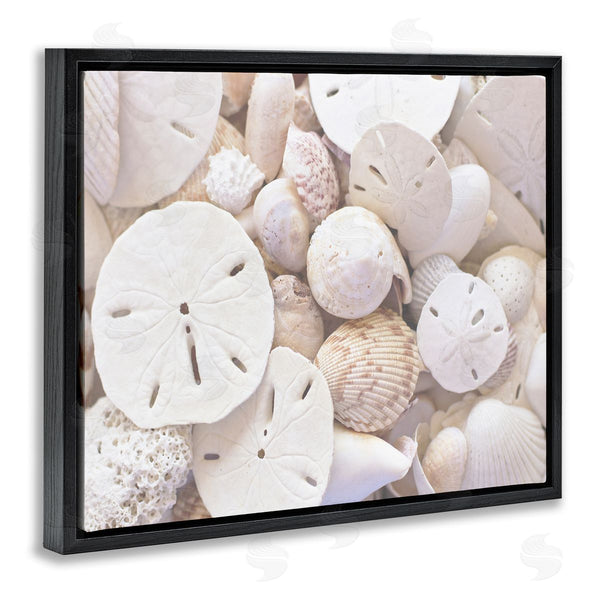 Stupell Industries Stupell Studio | White Mixed Sand Dollar Shells Wall Art