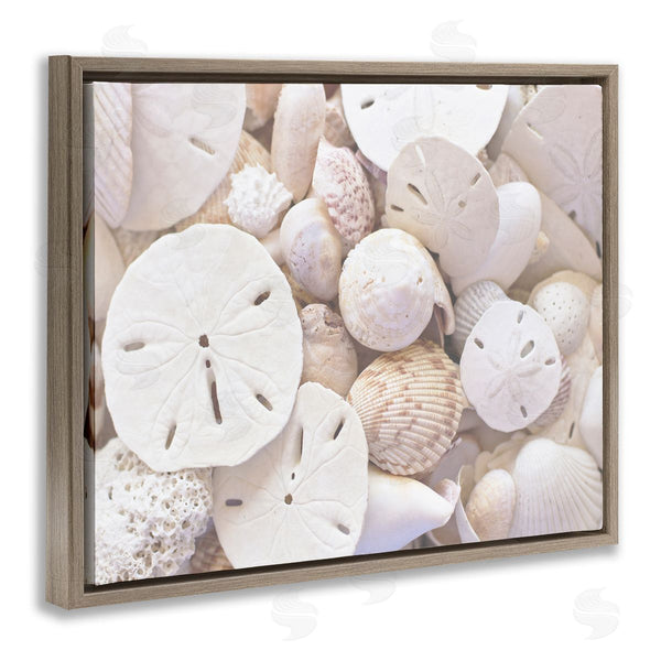 Stupell Industries Stupell Studio | White Mixed Sand Dollar Shells Wall Art