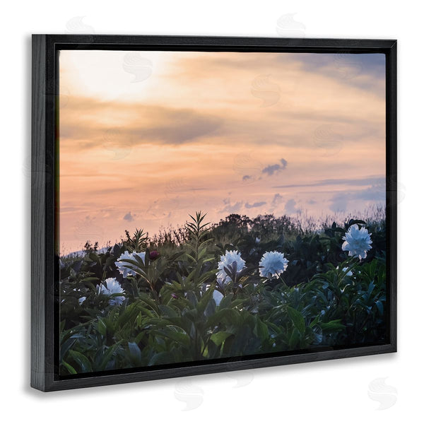 Stupell Industries Stupell Studio | Wildflower Blossoms Sunset Sky Wall Art