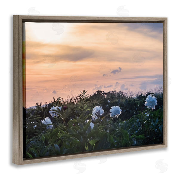 Stupell Industries Stupell Studio | Wildflower Blossoms Sunset Sky Wall Art