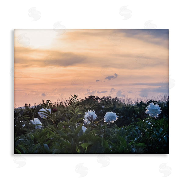 stupell industries Stupell Studio | Wildflower Blossoms Sunset Sky Wall Art