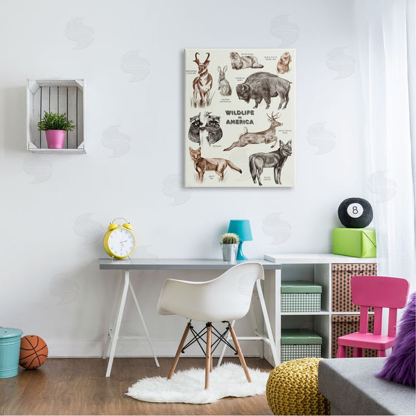 Stupell Industries Stupell Studio | Wildlife In America Various Animals Detailed Illustrations Chart Wall Art