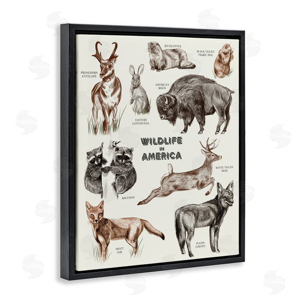 Stupell Industries Stupell Studio | Wildlife In America Various Animals Detailed Illustrations Chart Wall Art