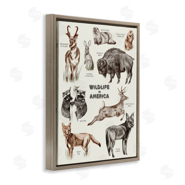 Stupell Industries Stupell Studio | Wildlife In America Various Animals Detailed Illustrations Chart Wall Art