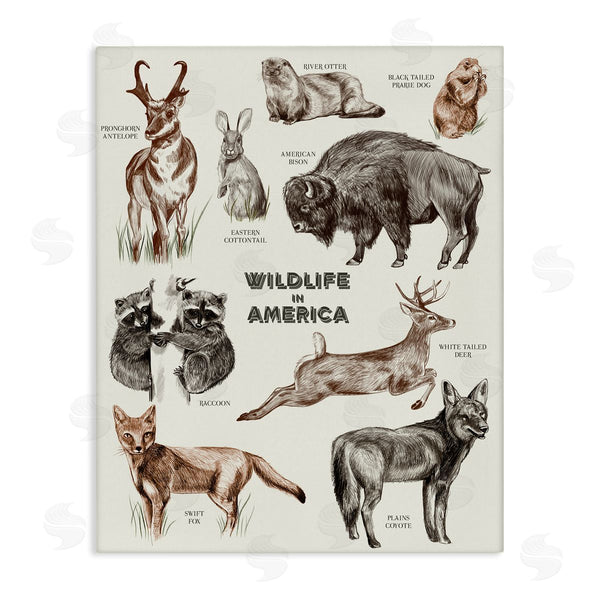 stupell industries Stupell Studio | Wildlife In America Various Animals Detailed Illustrations Chart Wall Art