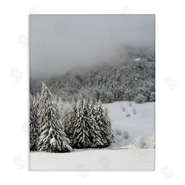 stupell industries Stupell Studio | Winter Snowscape Woodland Trees