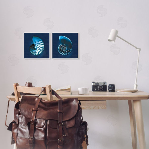 Stupell Industries Sue Schlabach | Blue Spiral Nautilus Shell With Pattern Wall Art