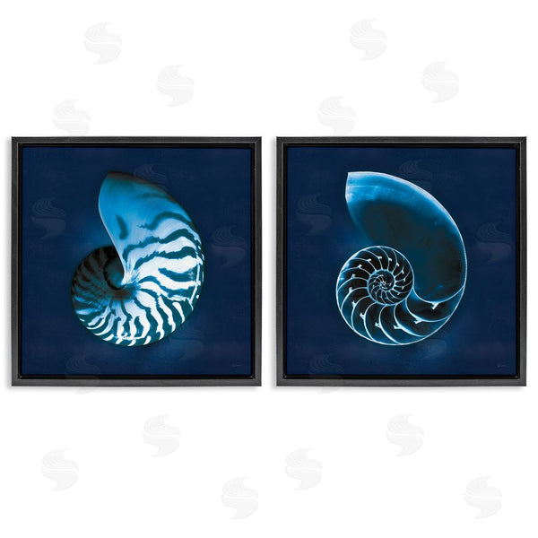 Stupell Industries Sue Schlabach | Blue Spiral Nautilus Shell With Pattern Wall Art