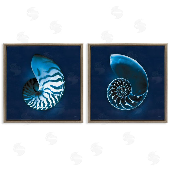 Stupell Industries Sue Schlabach | Blue Spiral Nautilus Shell With Pattern Wall Art