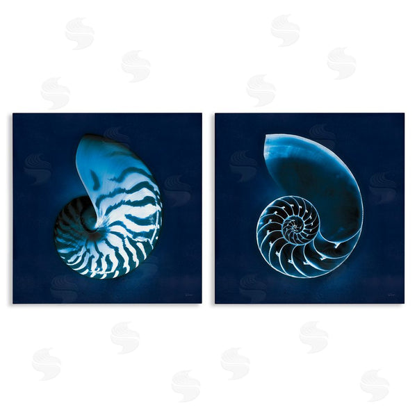 stupell industries Sue Schlabach | Blue Spiral Nautilus Shell with Pattern Wall Art