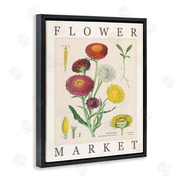 Stupell Industries Sue Schlabach | Flower Market Vintage Chart Wall Art