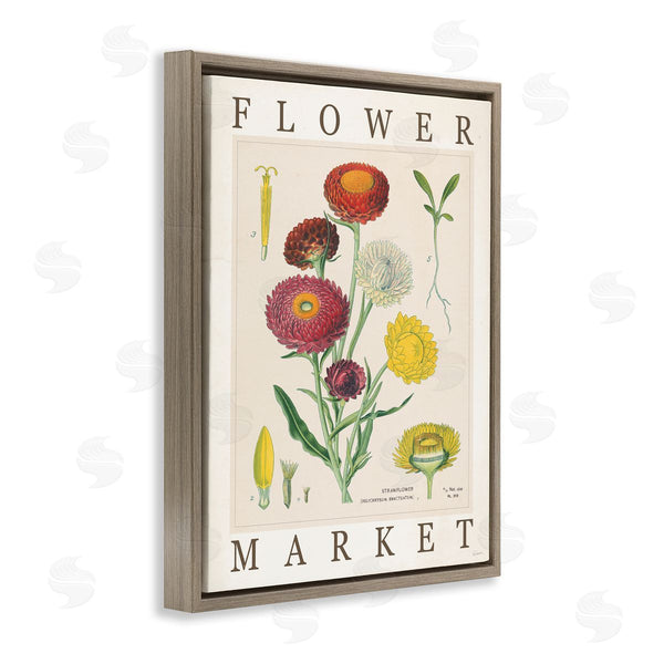 Stupell Industries Sue Schlabach | Flower Market Vintage Chart Wall Art