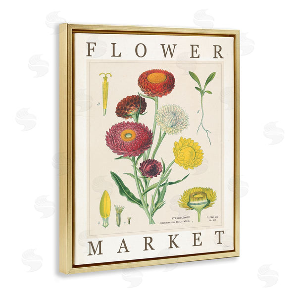 Stupell Industries Sue Schlabach | Flower Market Vintage Chart Wall Art