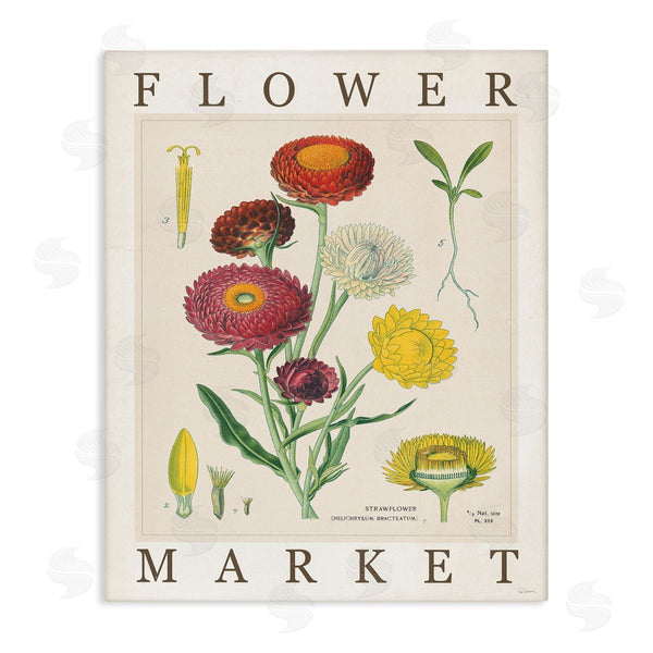 stupell industries Sue Schlabach | Flower Market Vintage Chart Wall Art