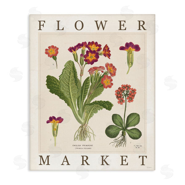 stupell industries Sue Schlabach | Flower Market with Red Blooms Wall Art