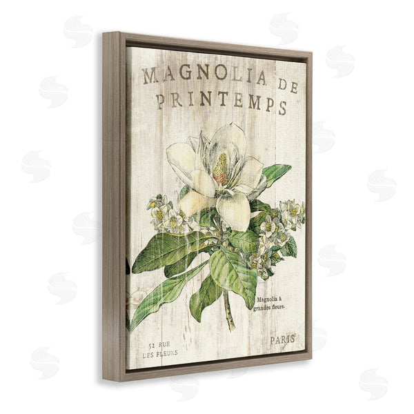 Stupell Industries Sue Schlabach | French Magnolias In Spring